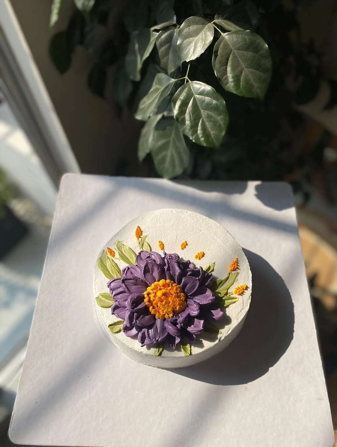 Petal Symphony