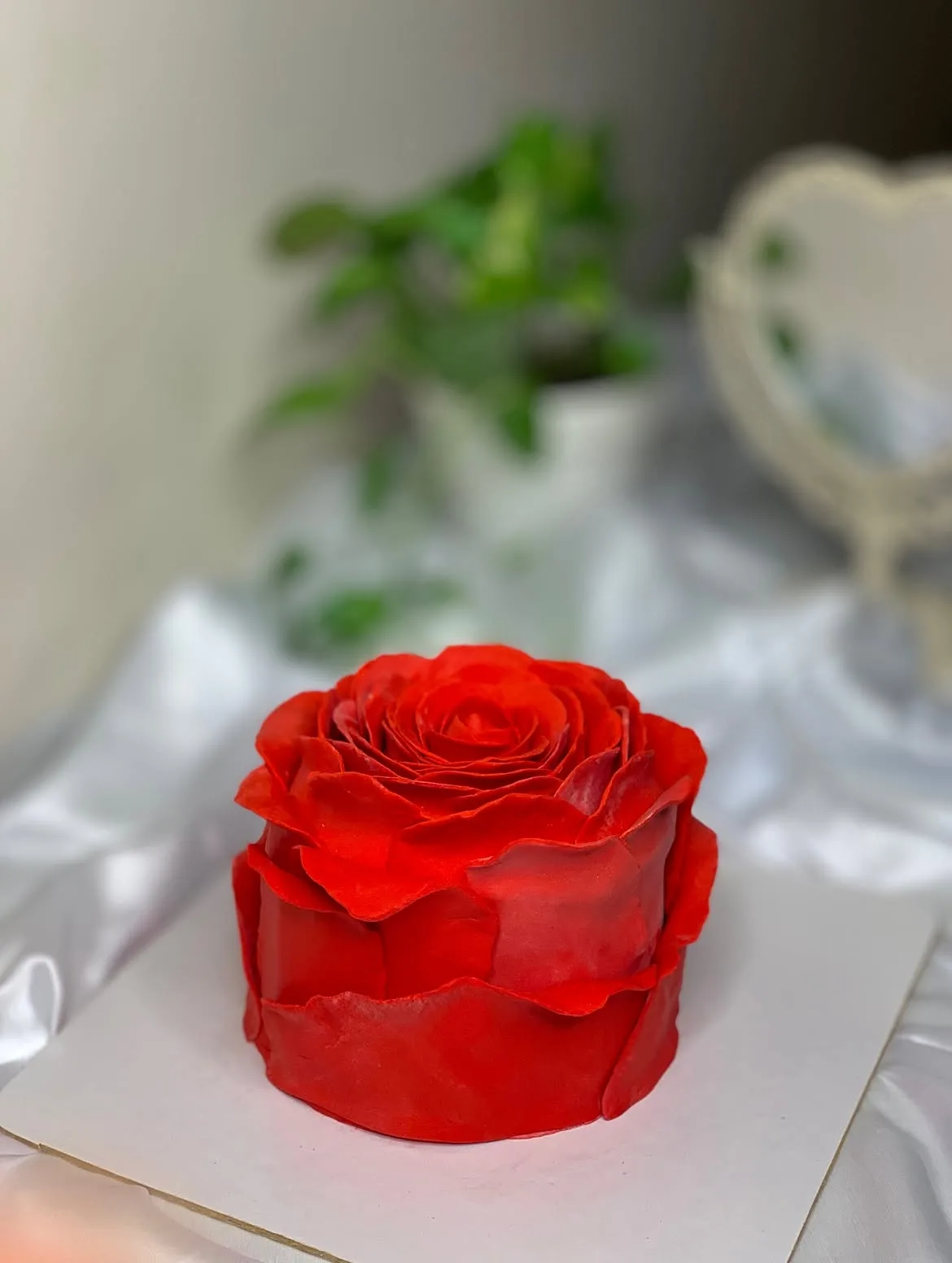 Blush Ribbon Delight